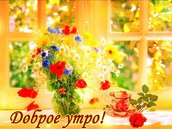 Утреннее осеннее солнце