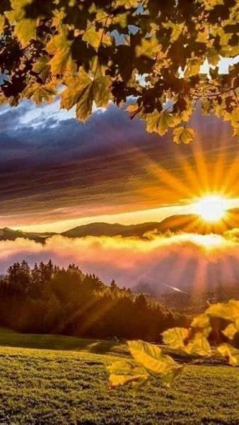 Утренний пейзаж