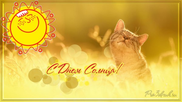 Всемирный день солнца