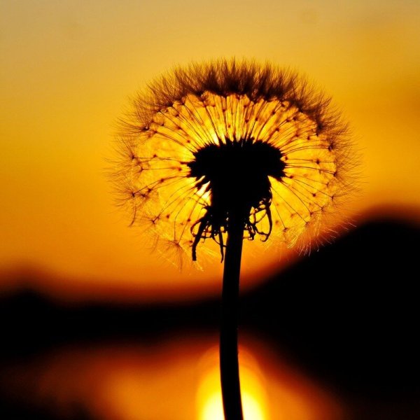 Лето солнце