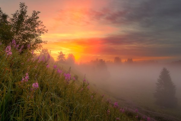 Счастье природа рассвет