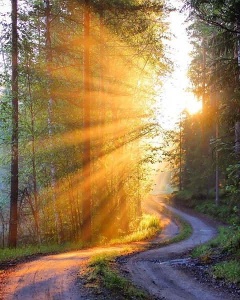 Утреннее солнце