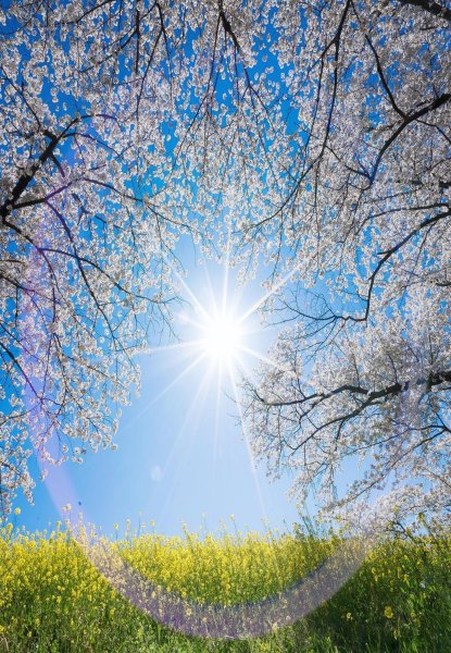 Утреннее Весеннее солнце