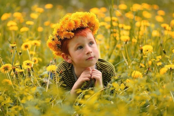 Мальчик одуванчик