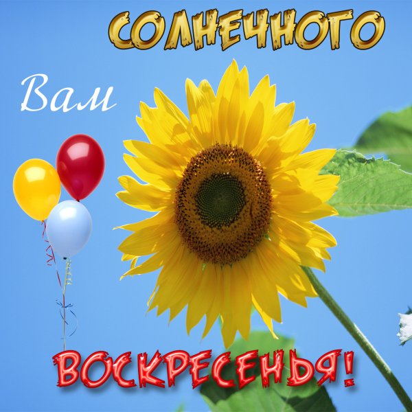 Открытки хорошего воскресенья