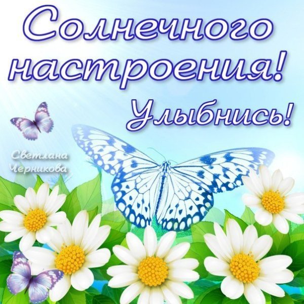 Доброго солнечного воскресного дня