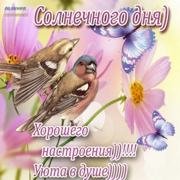 Воскресенье день чудесный