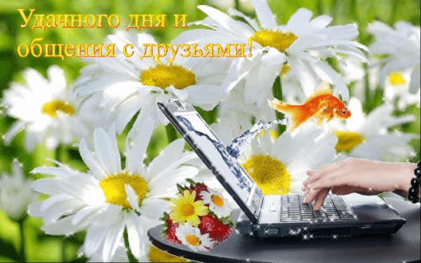 Солнечный осенний день