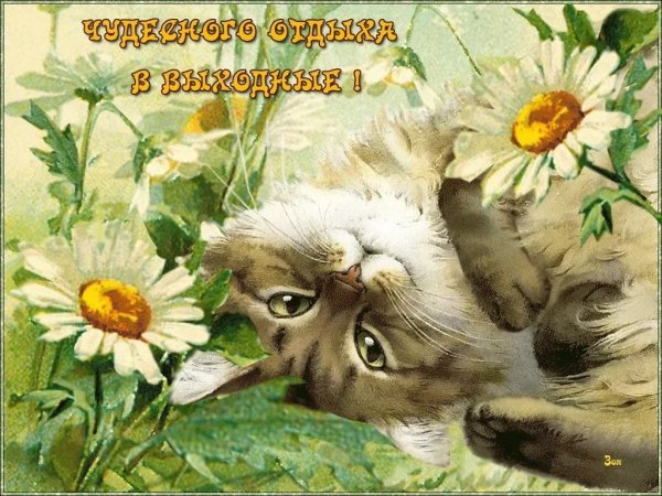 Здравствуй солнце