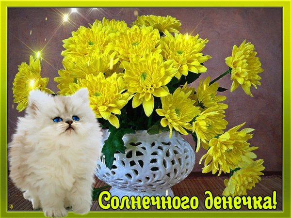 Отличного настроения в воскресенье