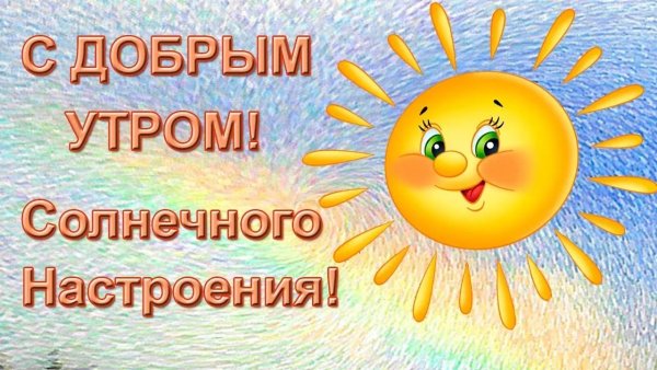 Котенок подтягивается