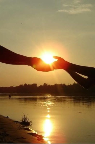 Солнце в ладошках