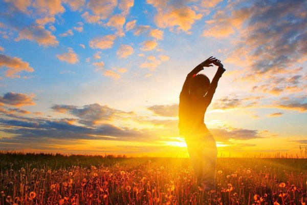 Солнце радость