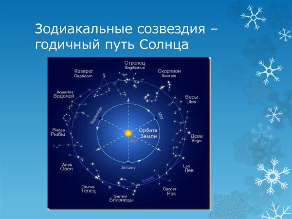 Задиокальные Созвездие