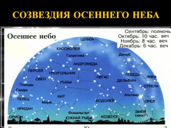 Созвездия зимнего неба Северного полушария