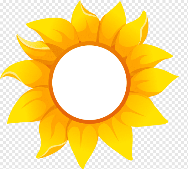 Солнышко цветное