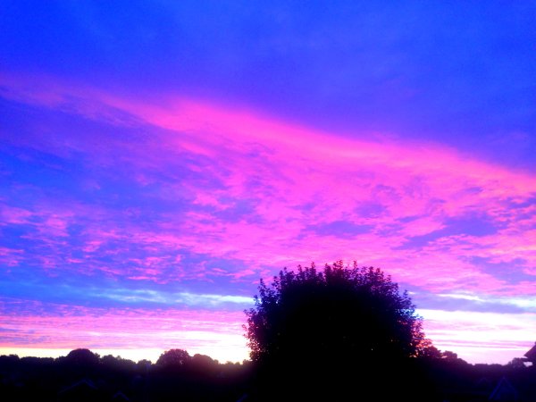 Фиолетовое солнце