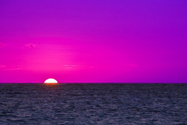 Фиолетовое море