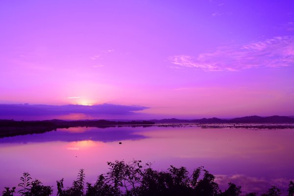 Сиреневое солнце