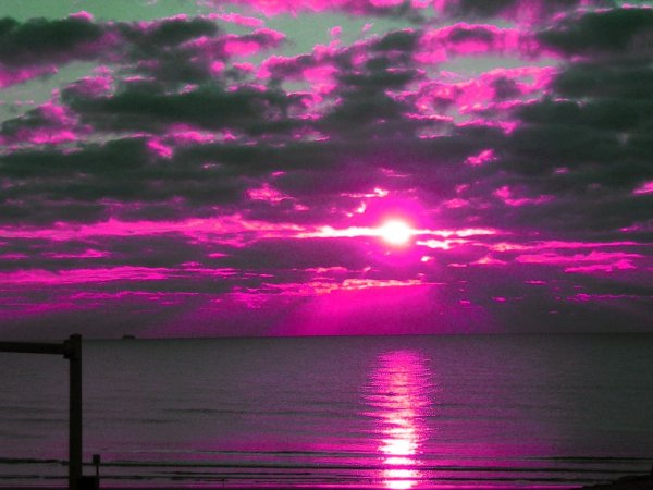 Розовое солнце