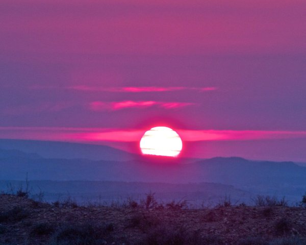 Фиолетовое солнце