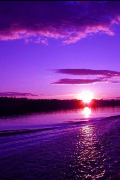 Розовый рассвет