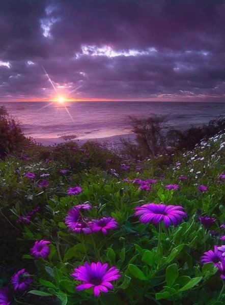 Пейзаж закат