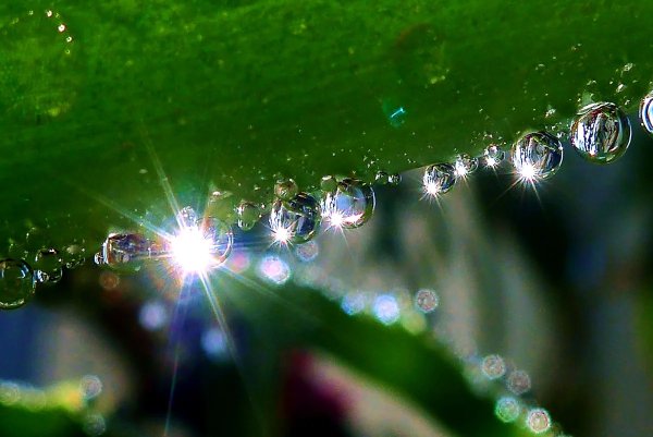 Весна солнце