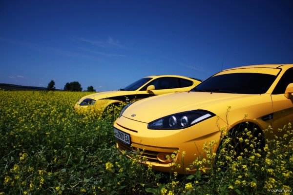 Машина на солнце