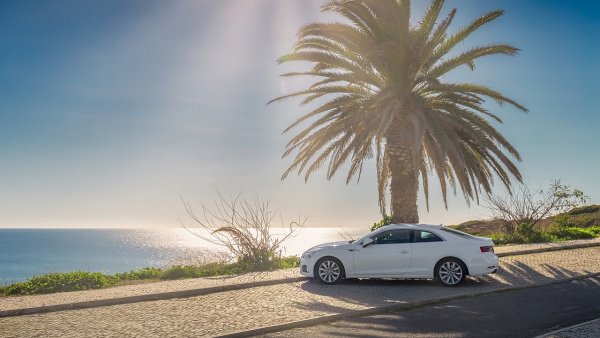 Машина и пальмы