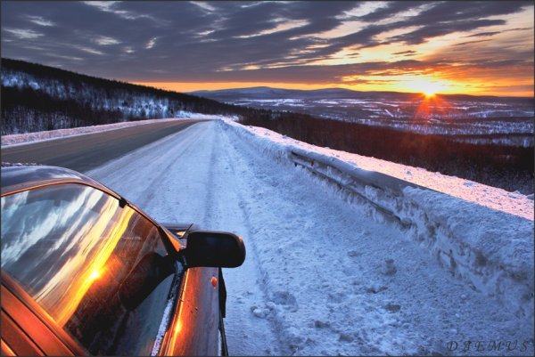 Ferrari f40 Synthwave