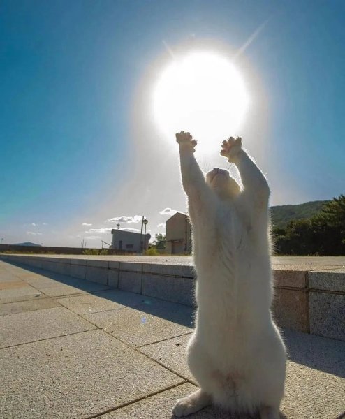 Открытки с добрымиутром прикольные