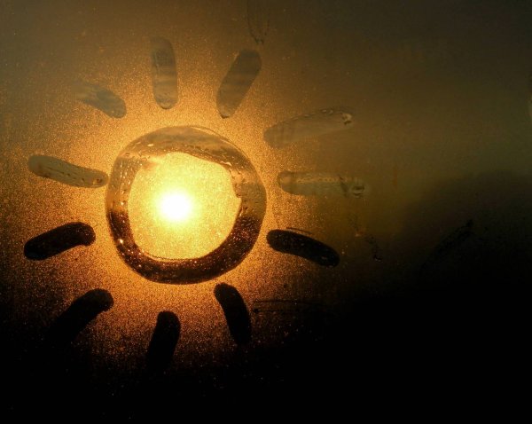 Позитивные цветы