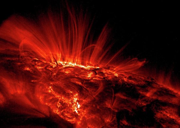 Спикулы солнца