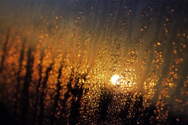 Солнце после дождя