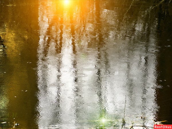 Лучи солнца и дождь