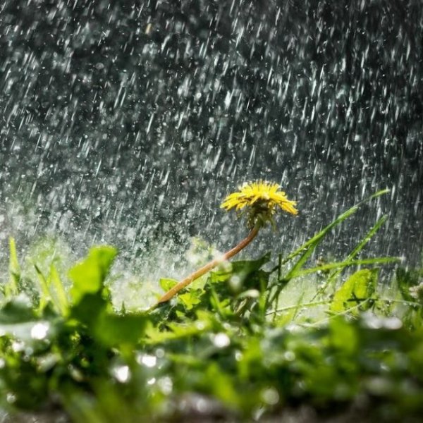 Дождь и солнце