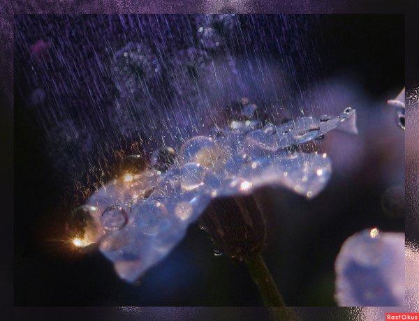 Картинки голубой дождь