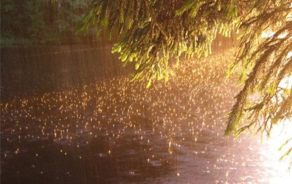 Капли дождя и солнце