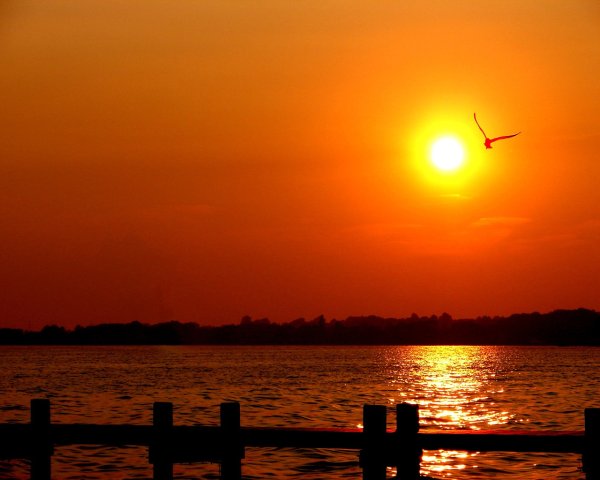 Закат на суше