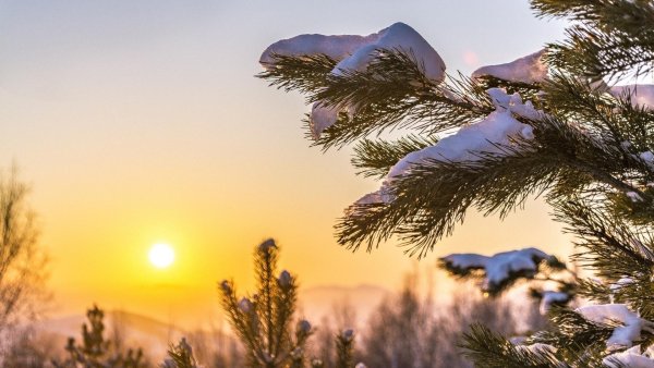 Солнечный зимний день