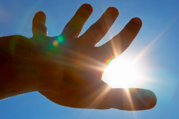 Солнечный свет в ладонях