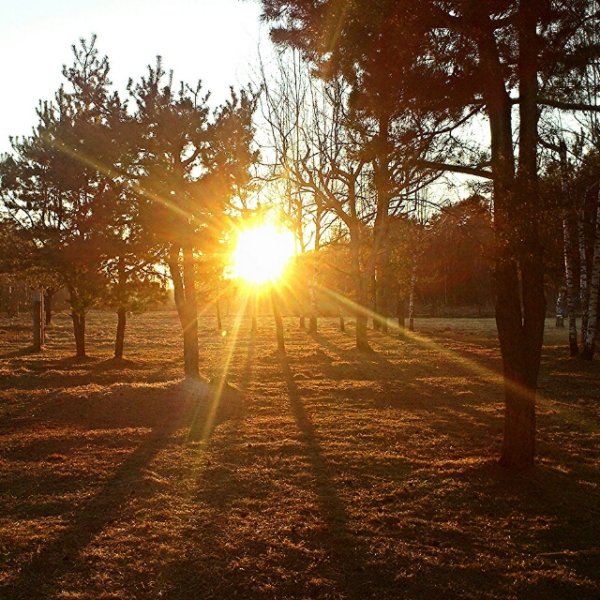 Солнце слепит