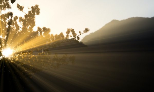 Доброе утро солнце