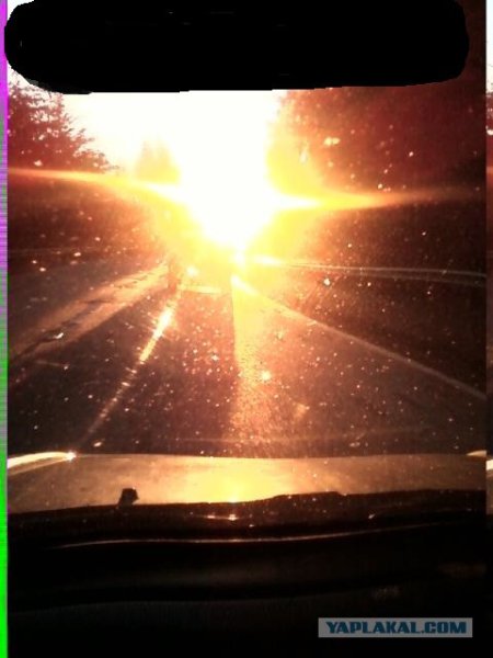 Солнце на ладони