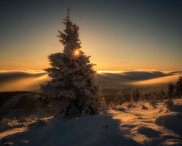 Зимний пейзаж
