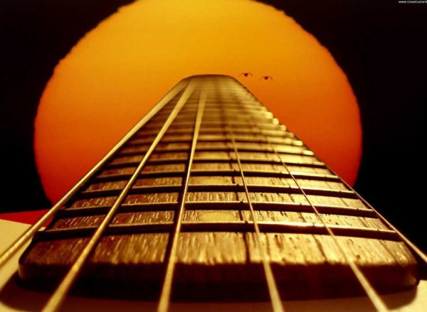 Гитара в поле