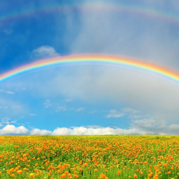 Дождь для радуги