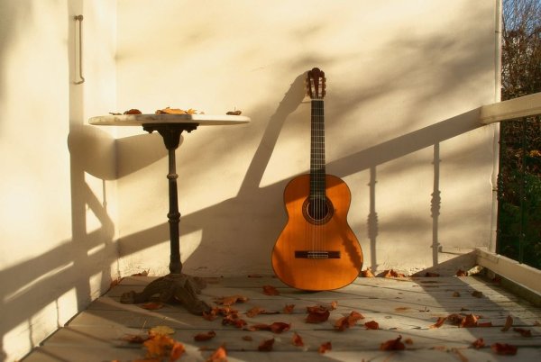 Музыкальная природа