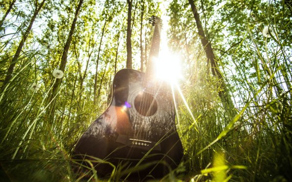 Гитара и небо